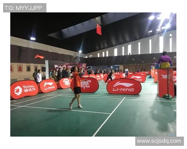赛后分析：北京羽毛球队与南京羽毛球队灵活性对比及战术启示
