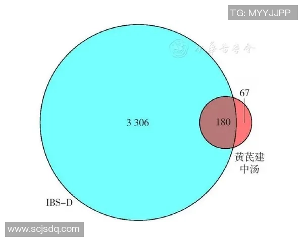 赛后分析：北京网球队与深圳网球队在比赛中的战术灵活性对比探讨