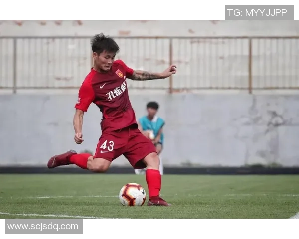 重庆排球队以86分领跑联合会杯积分榜展现强大实力 重庆排球队以86分领跑联合会杯积分榜展现强大实力