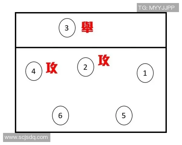 西安排球队的配合技巧分析与战术应用探讨